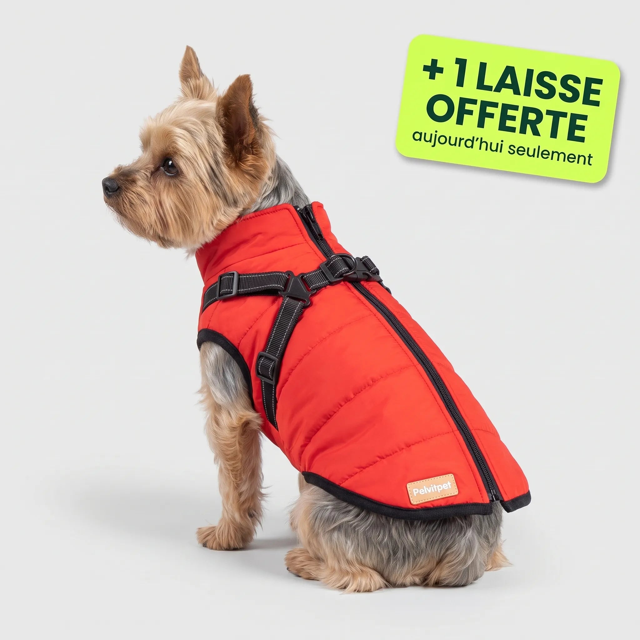 Pelux Thermo™ — Manteau pour chien avec harnais intégré