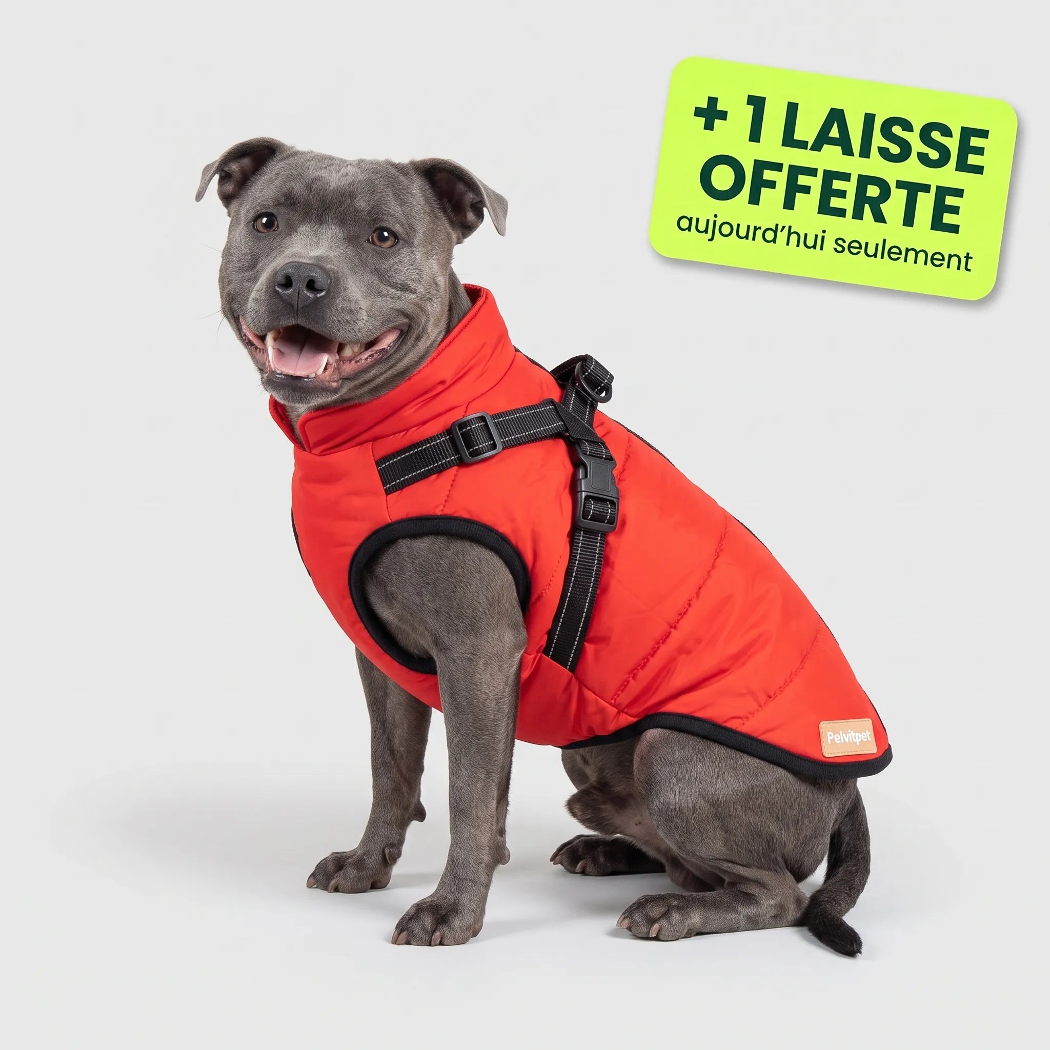 Pelux Thermo™ — Manteau pour chien avec harnais intégré