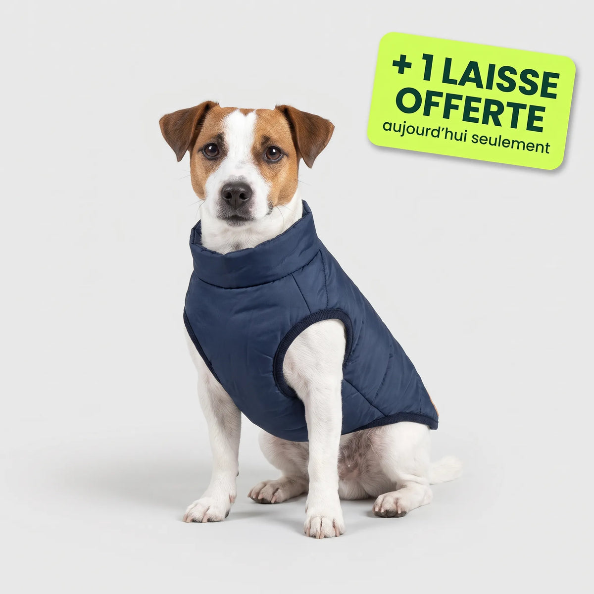 Pelux Thermo™ — Manteau pour chien avec harnais intégré