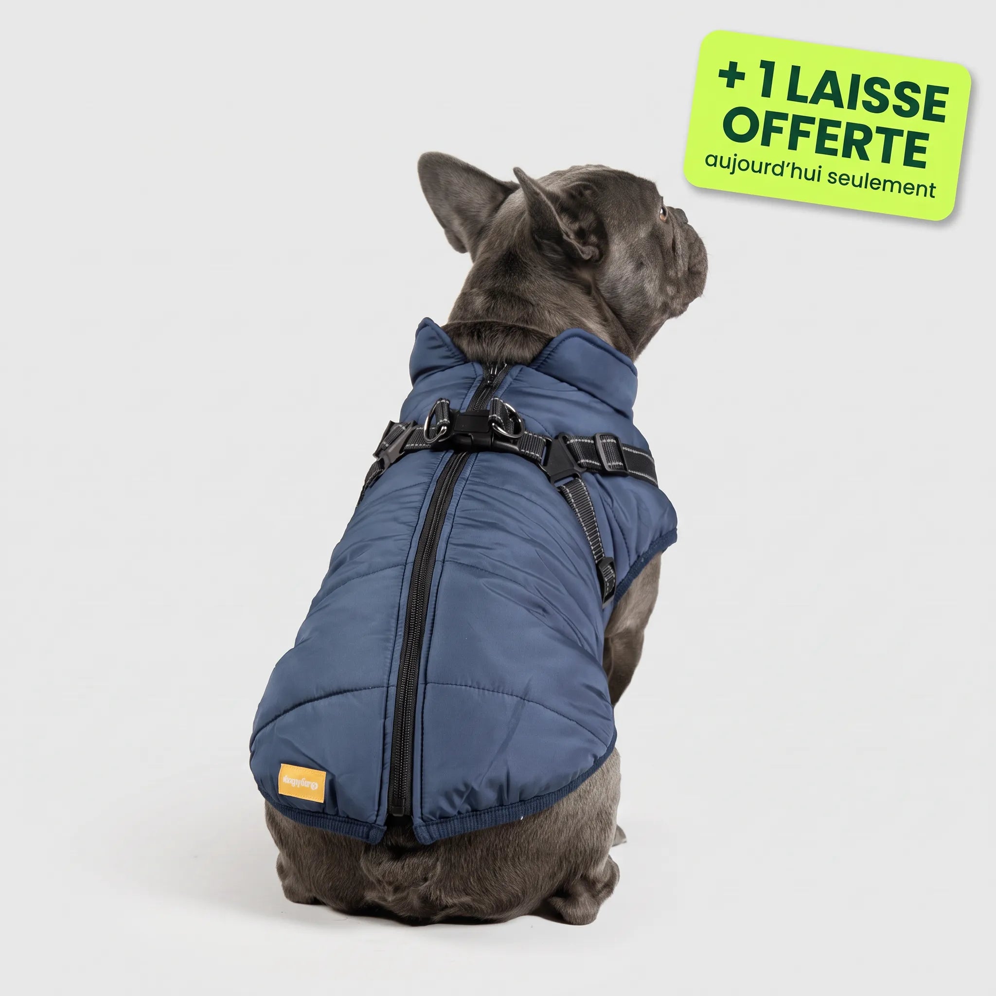 Pelux Thermo™ — Manteau pour chien avec harnais intégré