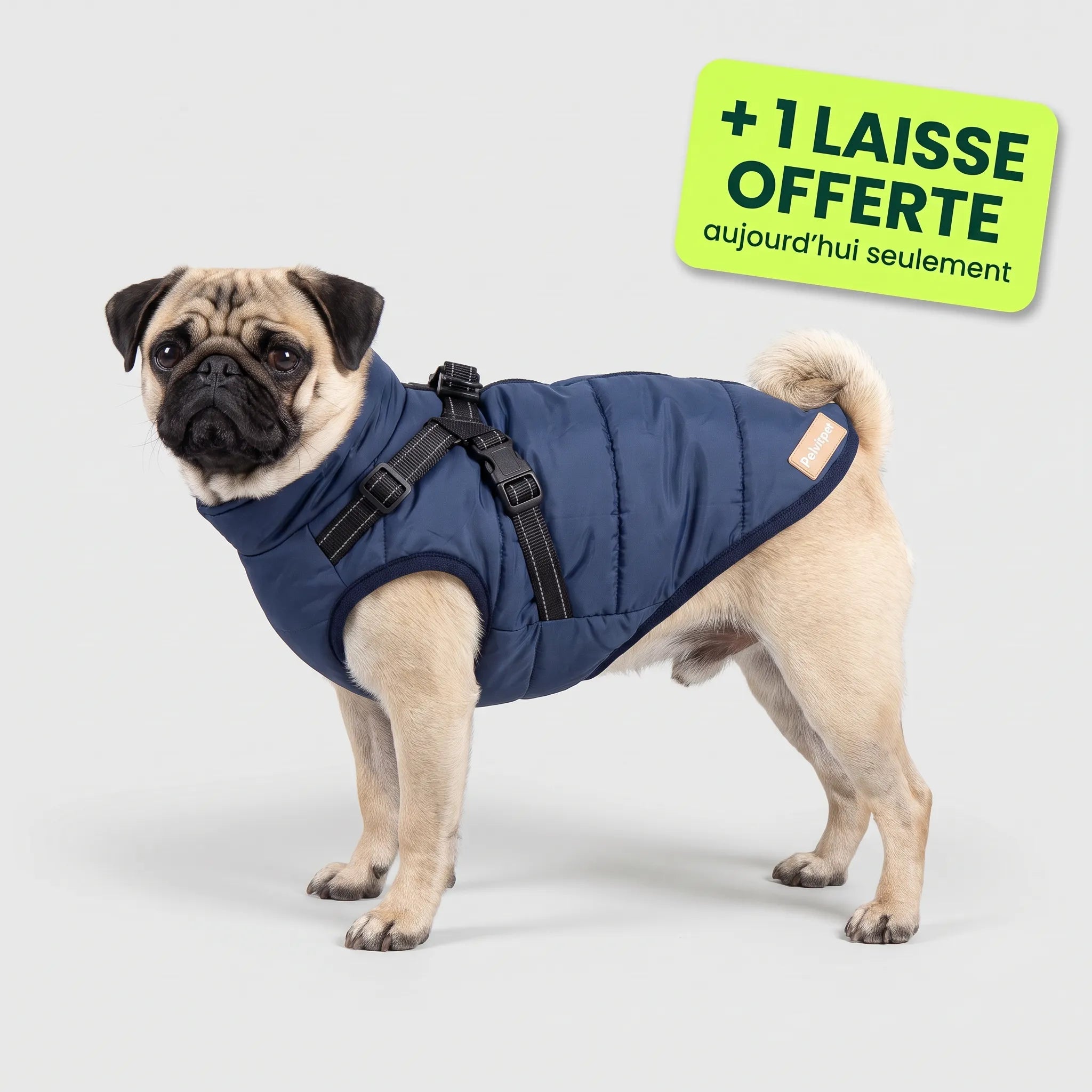 Pelux Thermo™ — Manteau pour chien avec harnais intégré