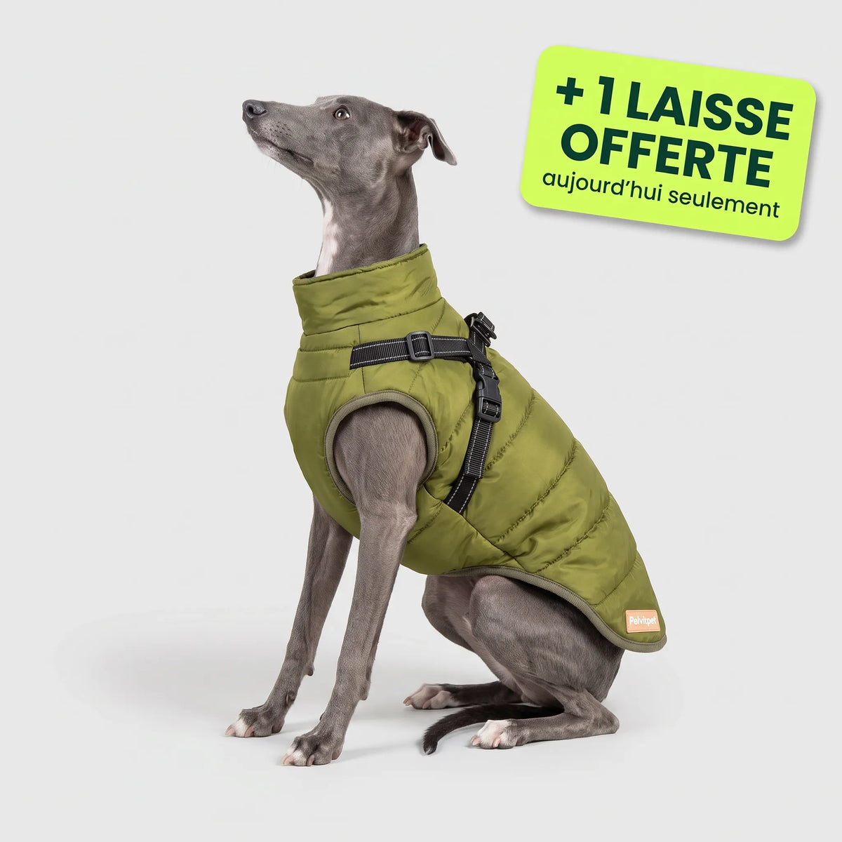 Pelux Thermo™ — Manteau pour chien avec harnais intégré