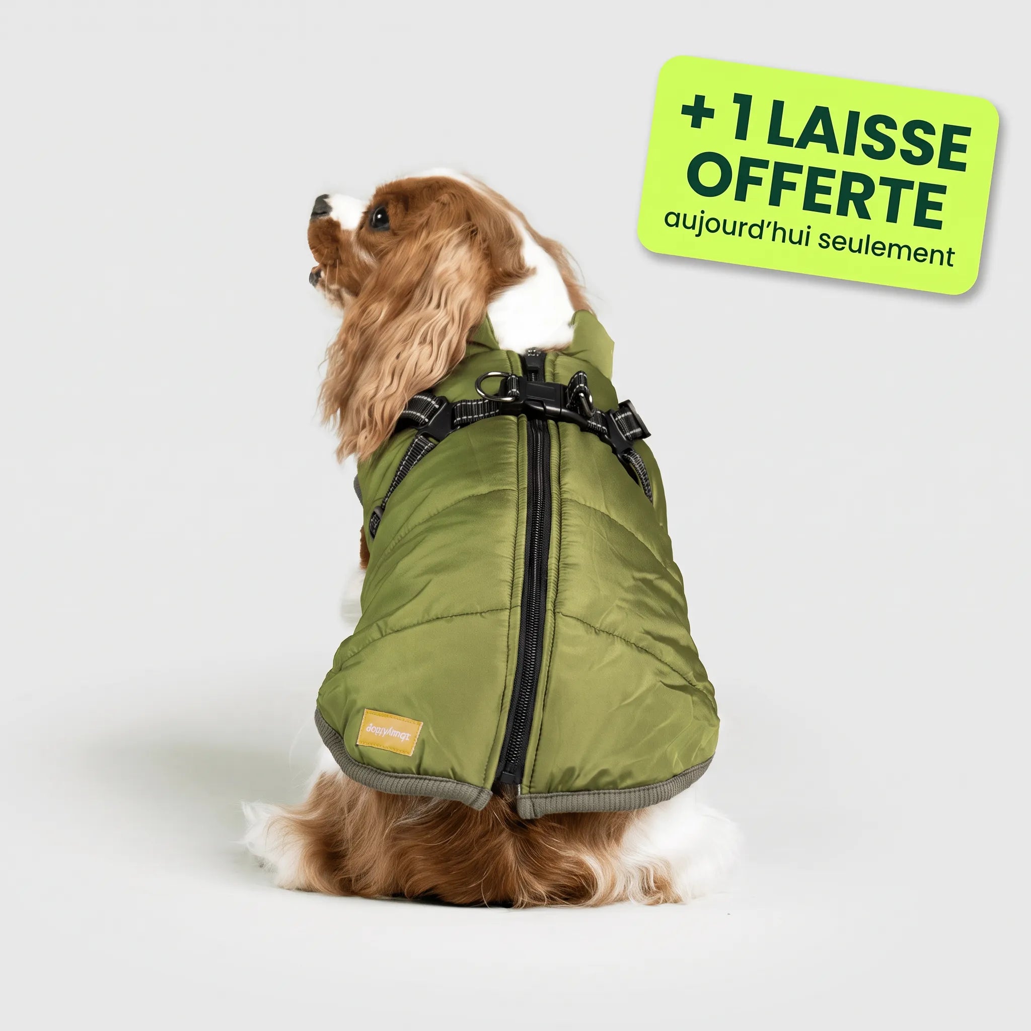 Pelux Thermo™ — Manteau pour chien avec harnais intégré