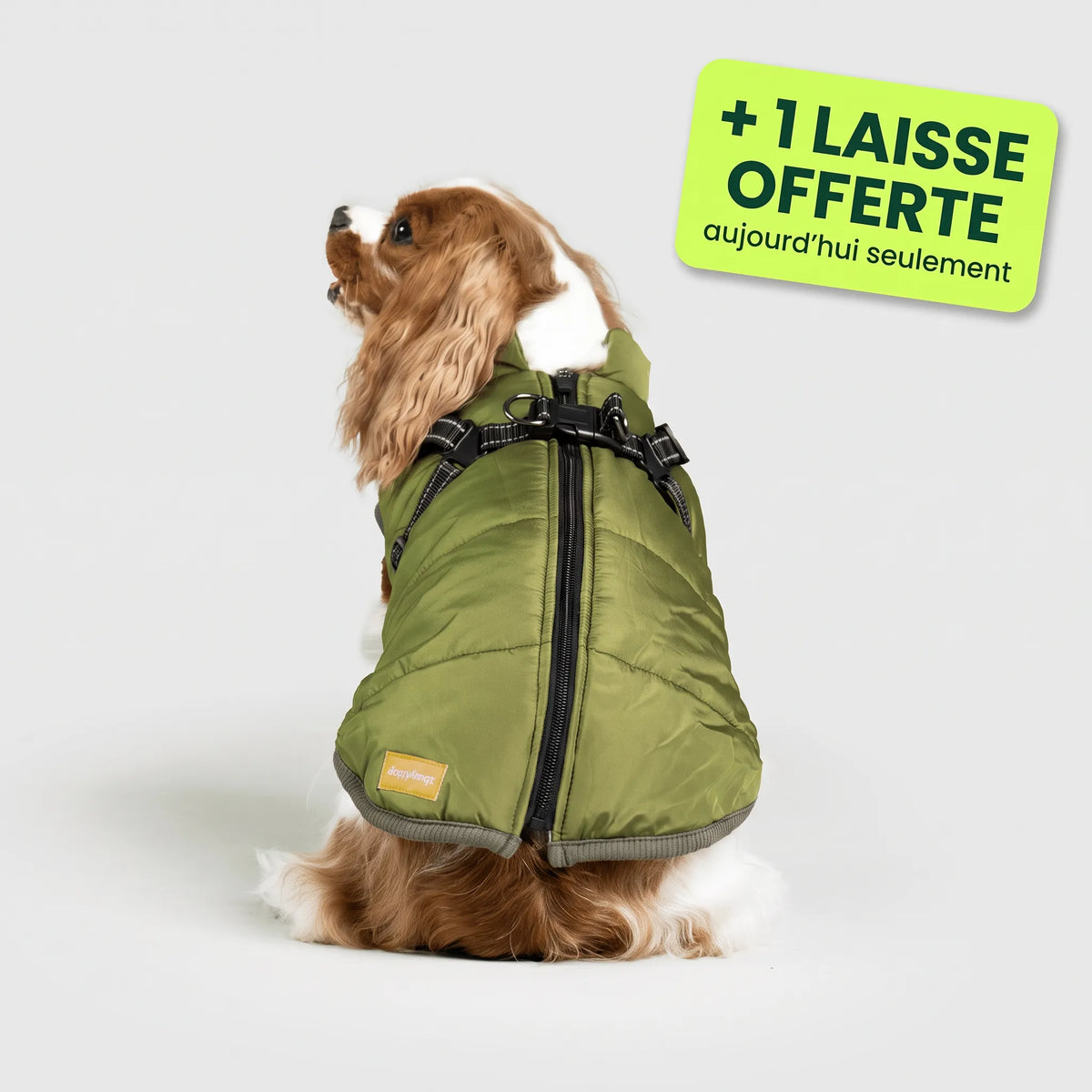 Pelux Thermo™ — Manteau pour chien avec harnais intégré
