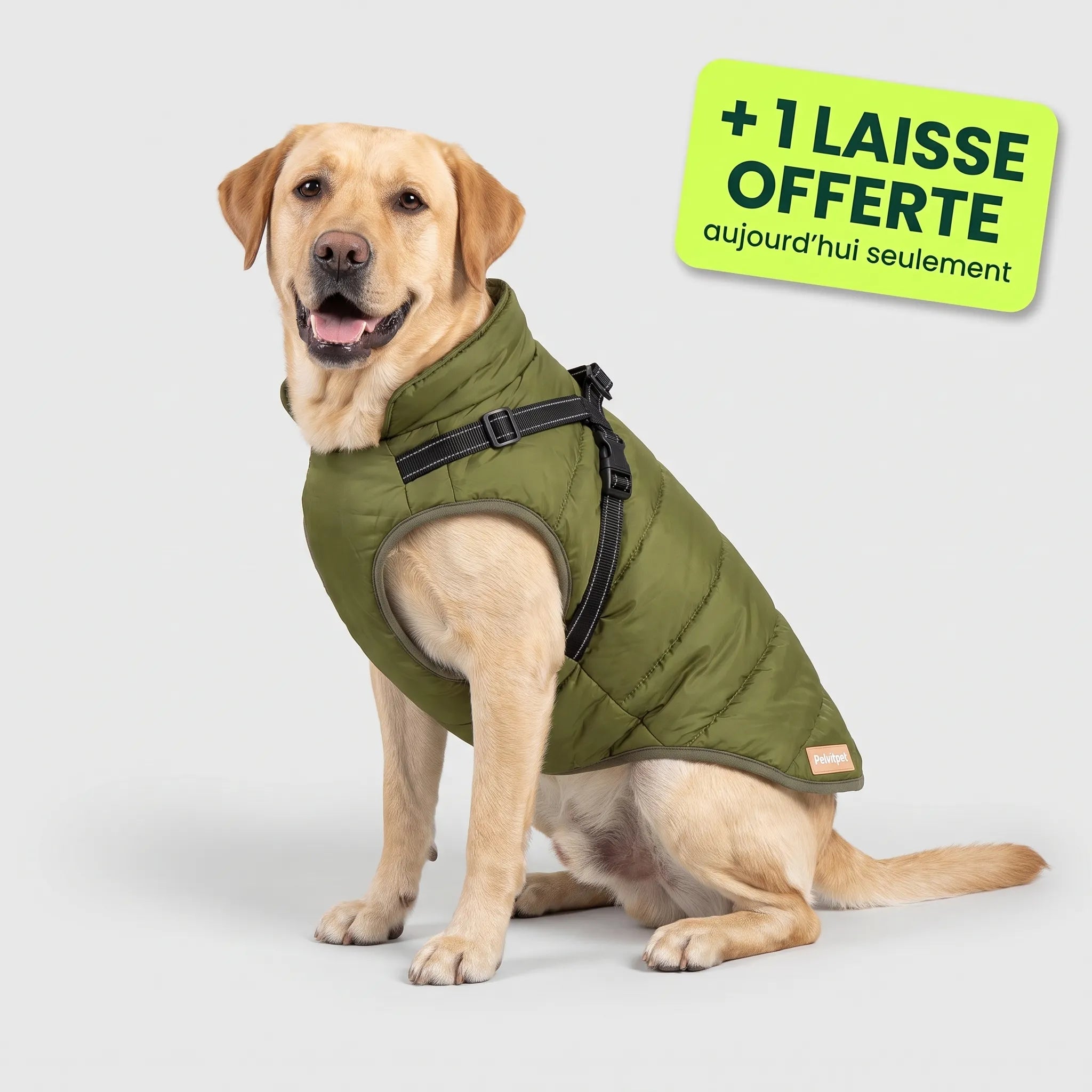 Pelux Thermo™ — Manteau pour chien avec harnais intégré