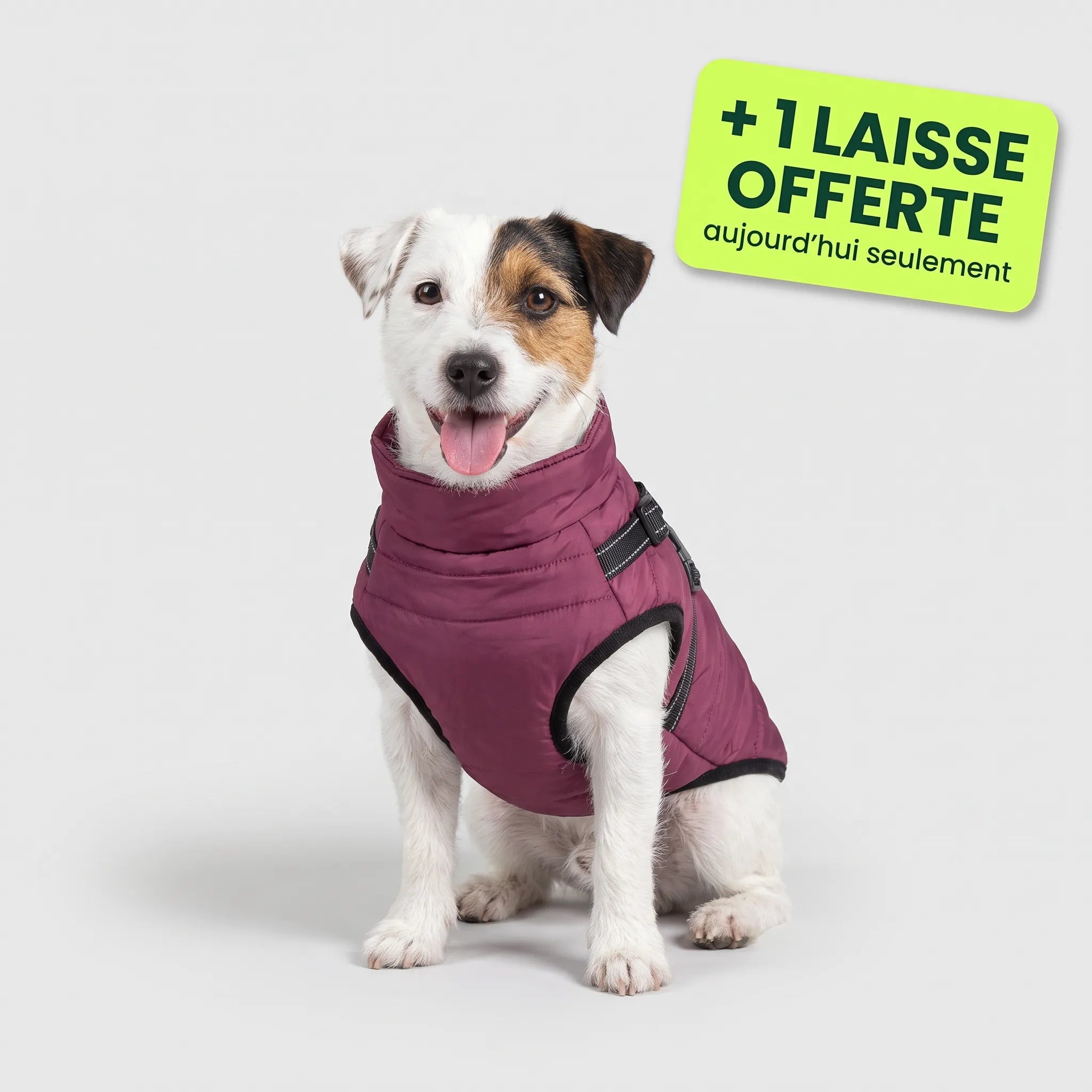 Pelux Thermo™ — Manteau pour chien avec harnais intégré