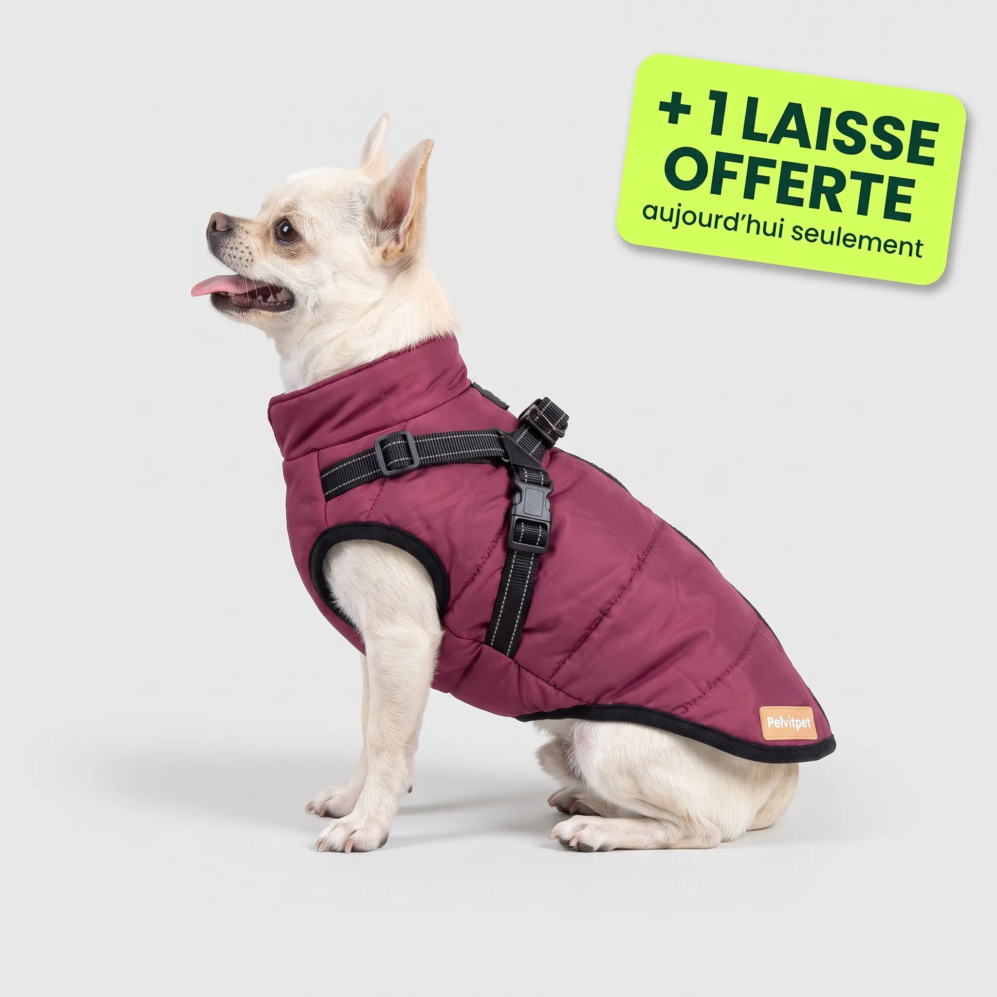 Pelux Thermo™ — Manteau pour chien avec harnais intégré