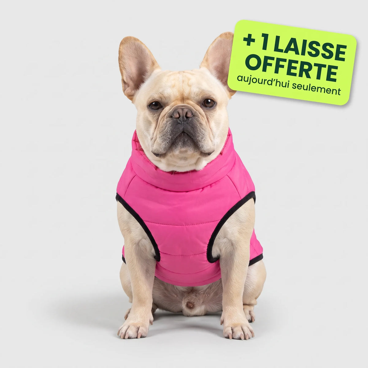 Pelux Thermo™ — Manteau pour chien avec harnais intégré
