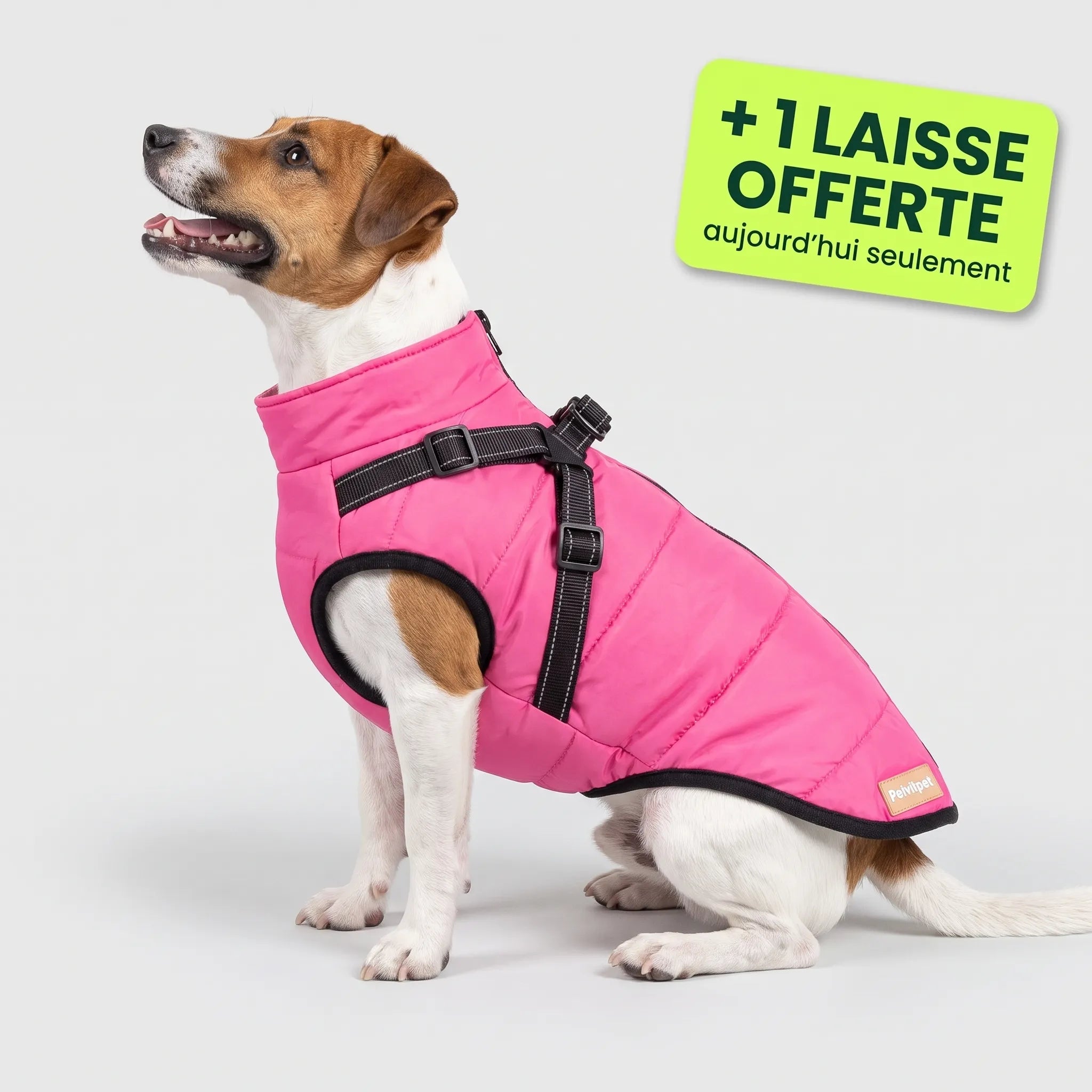 Pelux Thermo™ — Manteau pour chien avec harnais intégré