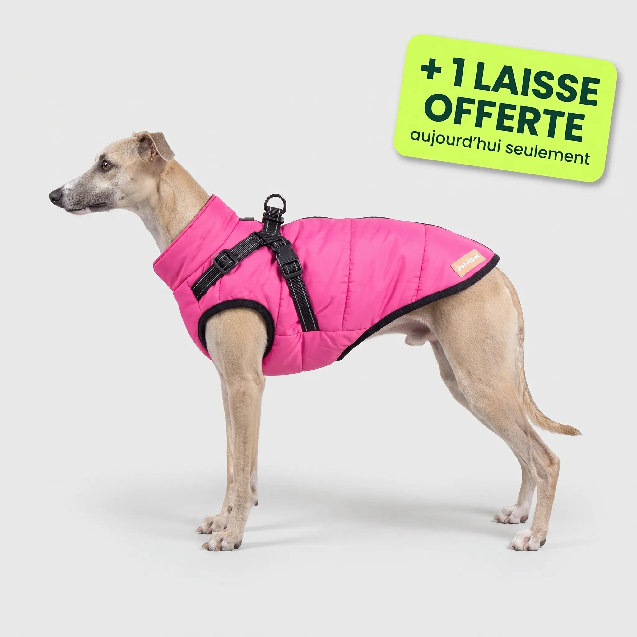 Pelux Thermo™ — Manteau pour chien avec harnais intégré