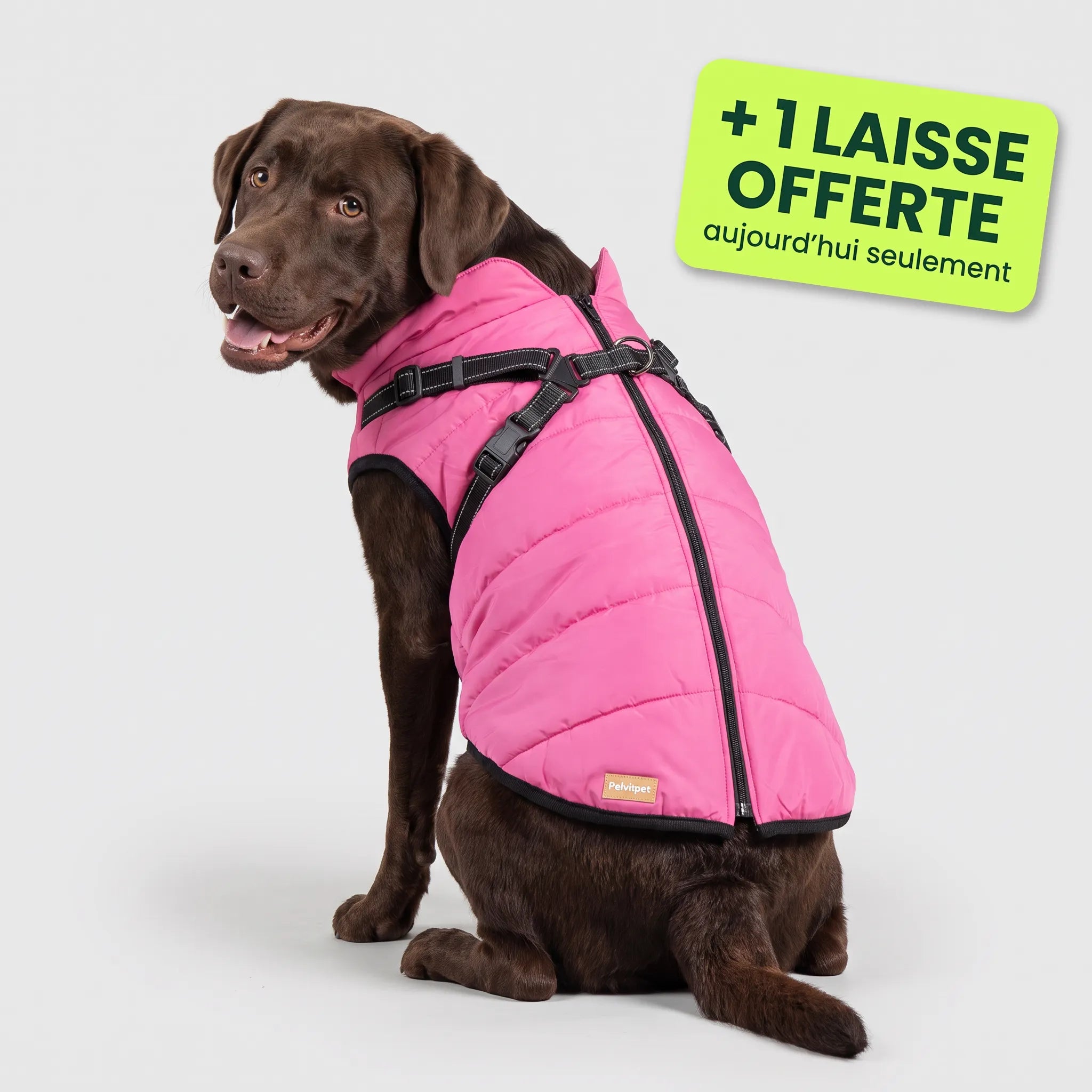 Pelux Thermo™ — Manteau pour chien avec harnais intégré