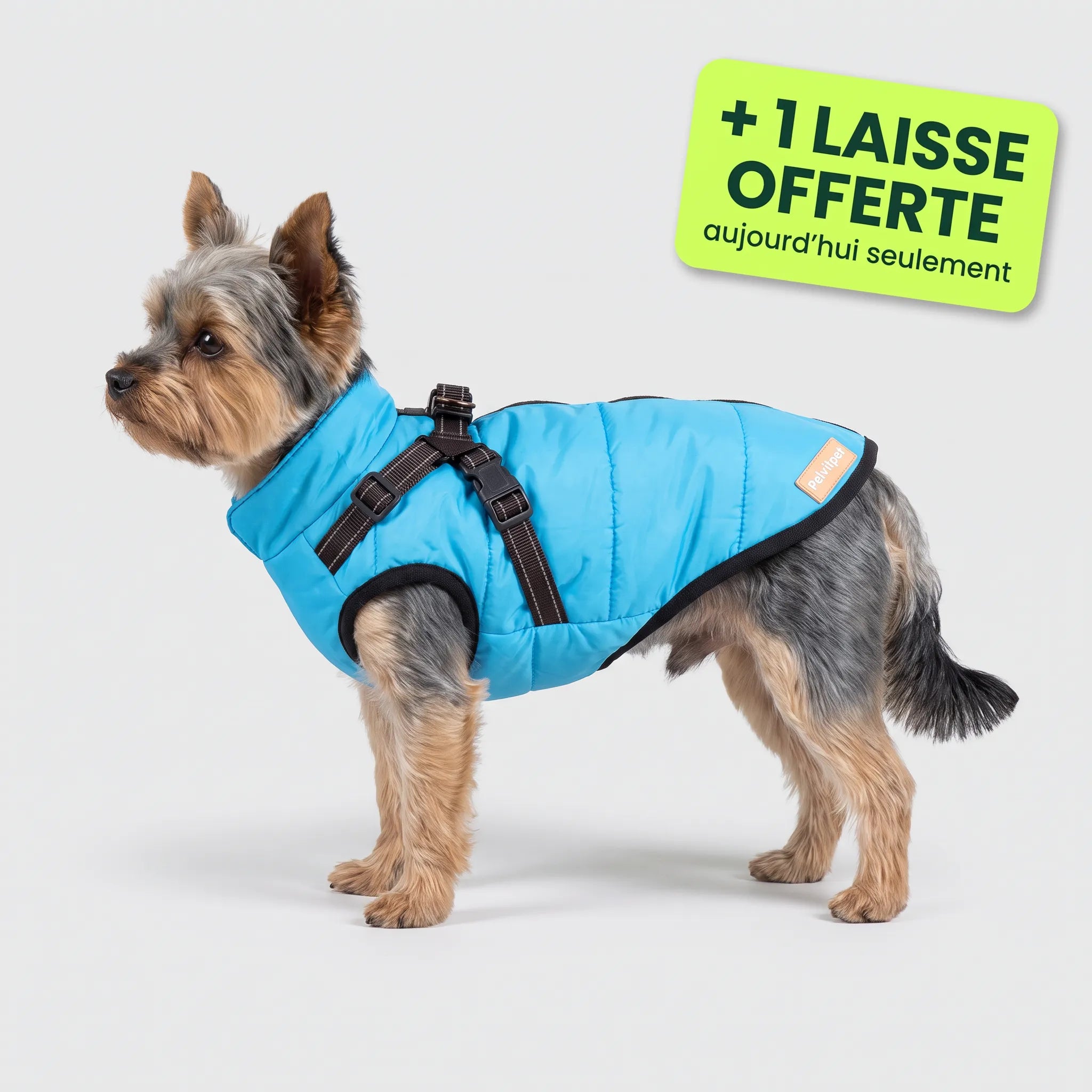 Pelux Thermo™ — Manteau pour chien avec harnais intégré