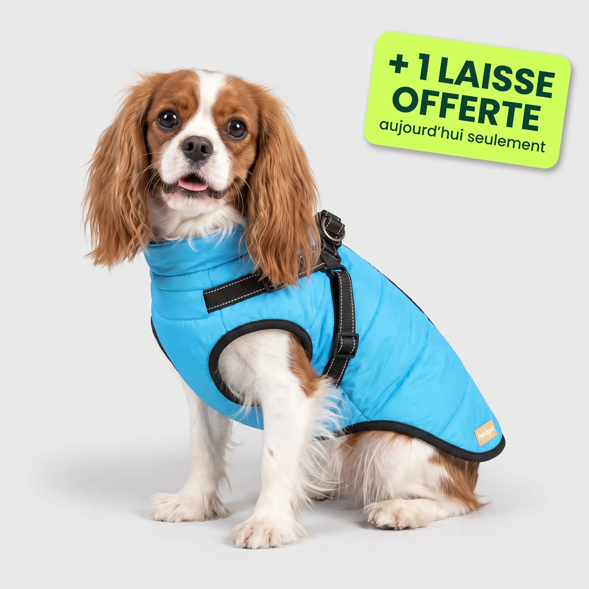 Pelux Thermo™ — Manteau pour chien avec harnais intégré