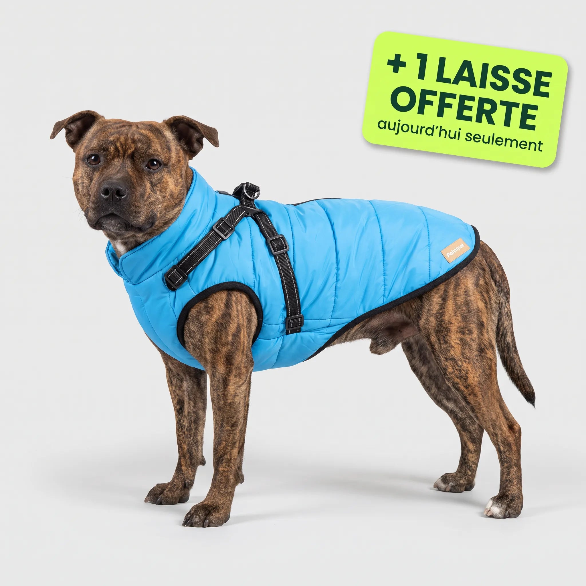 Pelux Thermo™ — Manteau pour chien avec harnais intégré