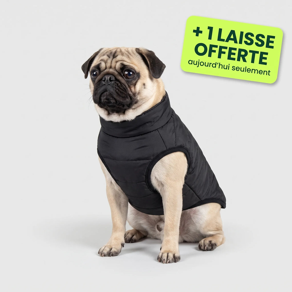 Pelux Thermo™ — Manteau pour chien avec harnais intégré