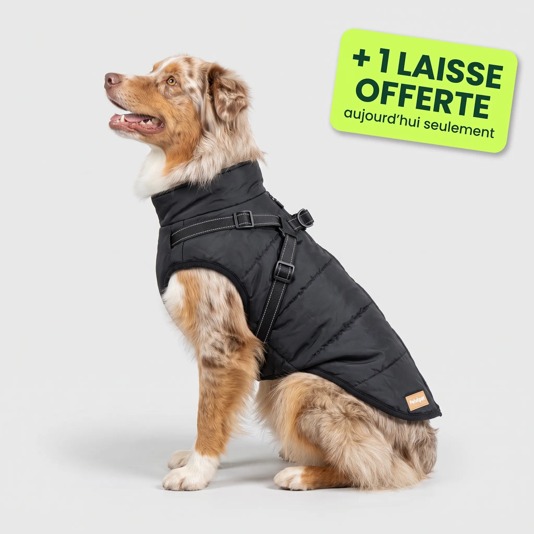 Pelux Thermo™ — Manteau pour chien avec harnais intégré