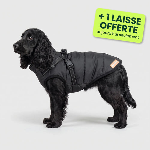 Pelux Thermo™ — Manteau pour chien avec harnais intégré