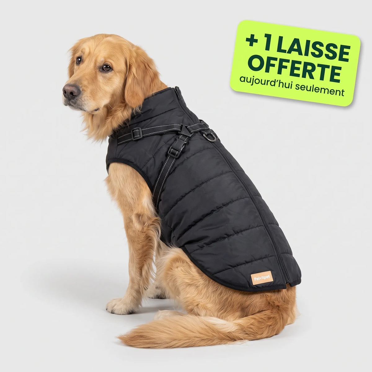 Pelux Thermo™ — Manteau pour chien avec harnais intégré